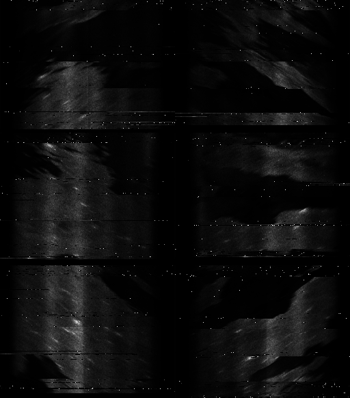 ASCAT-ALL.png